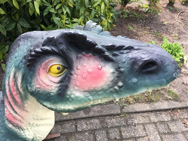 Grote foto dinosaurus prachtige forse sculptuur van een tyrannosaurus tuin en terras tuindecoratie