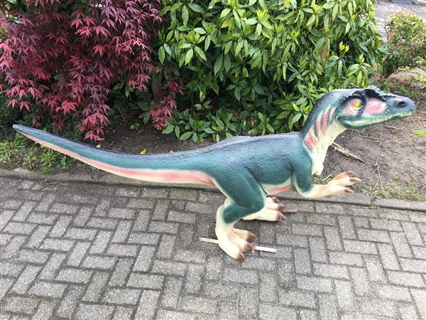 Grote foto dinosaurus prachtige forse sculptuur van een tyrannosaurus tuin en terras tuindecoratie