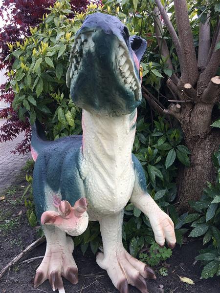 Grote foto dinosaurus prachtige forse sculptuur van een tyrannosaurus tuin en terras tuindecoratie