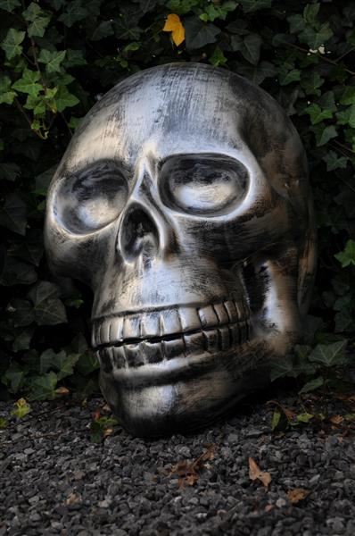 Grote foto zeer grote anatomische schedel uit polystein grijs zwart tuin en terras tuindecoratie