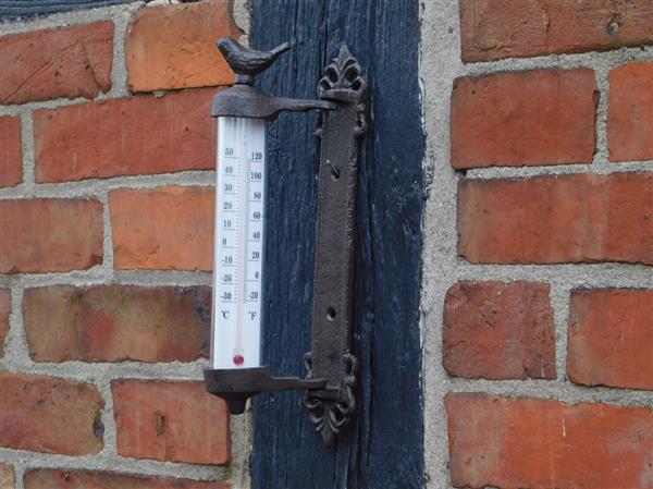 Grote foto kozijnthermometer met vogel gietijzer weerbestendig tuin en terras tuindecoratie