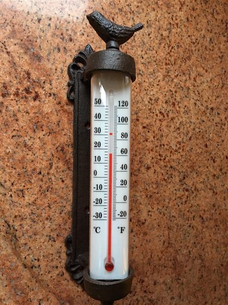 Grote foto kozijnthermometer met vogel gietijzer weerbestendig tuin en terras tuindecoratie