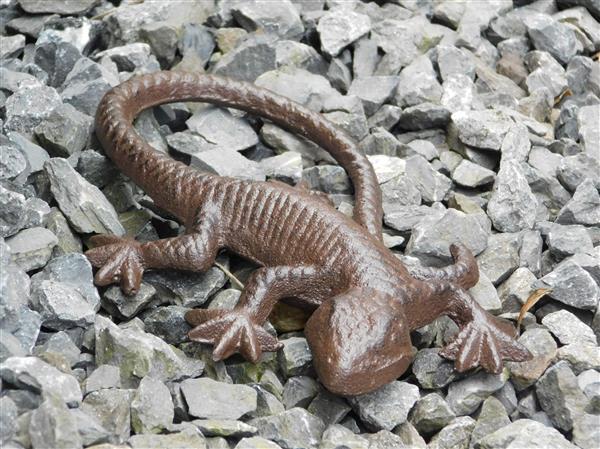 Grote foto mooie hagedis gekko als decoratie gietijzeren salamander tuin en terras tuindecoratie