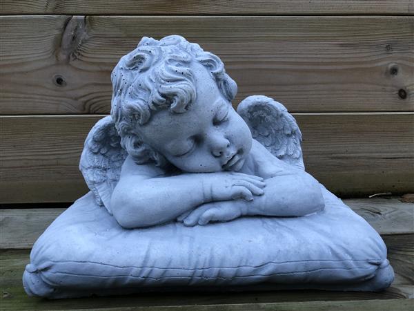Grote foto engel op kussen een mooi beeld voor plechtigheid. tuin en terras tuindecoratie