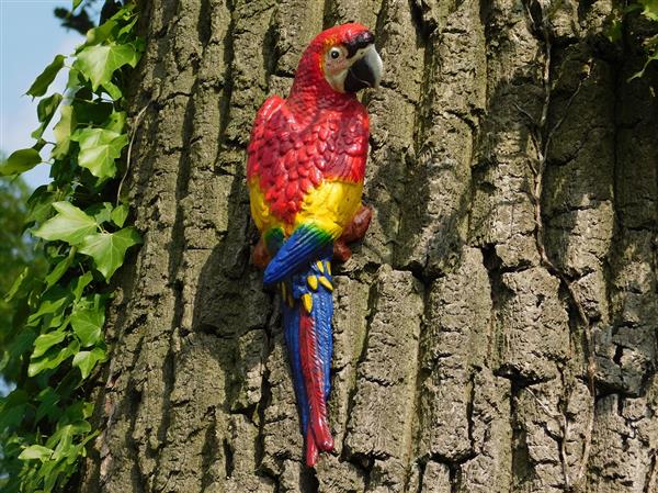Grote foto rode papegaai gietijzer tuin en terras tuindecoratie