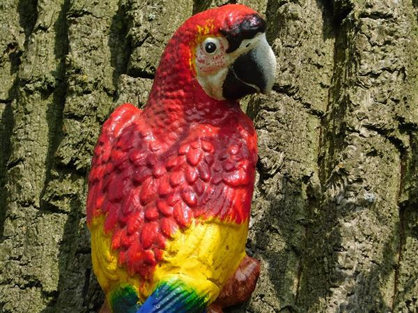 Grote foto rode papegaai gietijzer tuin en terras tuindecoratie