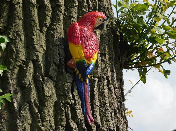 Grote foto rode papegaai gietijzer tuin en terras tuindecoratie