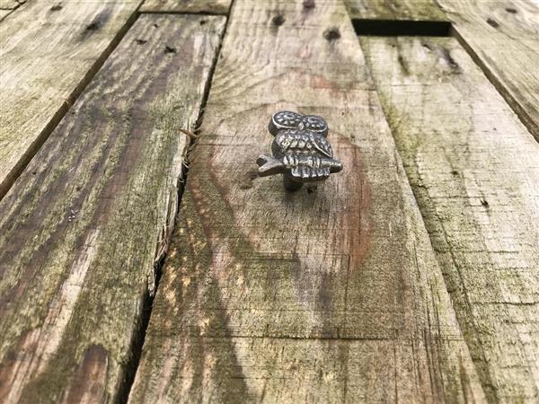 Grote foto kast greep knop in uil gemaakt van gietijzer doe het zelf en verbouw materialen en producten