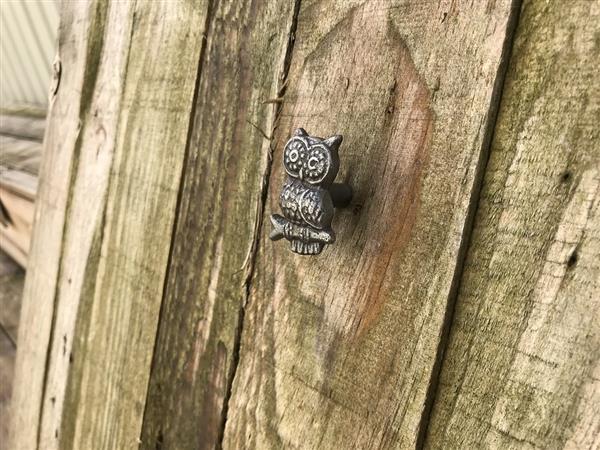 Grote foto kast greep knop in uil gemaakt van gietijzer doe het zelf en verbouw materialen en producten