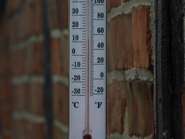 Grote foto thermometer met franse lelie gietijzer kozijnthermometer weerbestendig tuin en terras tuindecoratie