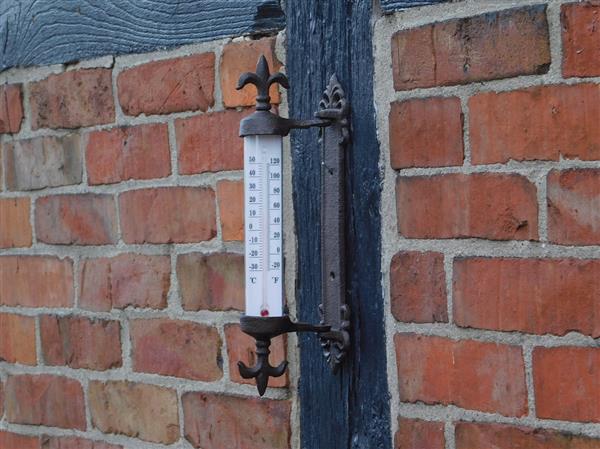 Grote foto thermometer met franse lelie gietijzer kozijnthermometer weerbestendig tuin en terras tuindecoratie