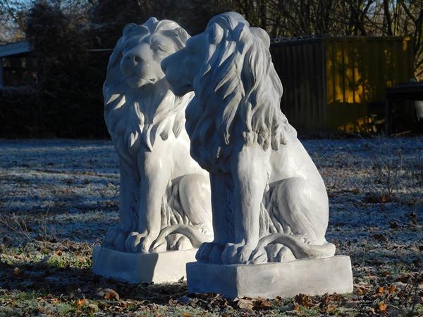 Grote foto zittende leeuw polystone links kijkend wit tuin en terras tuindecoratie