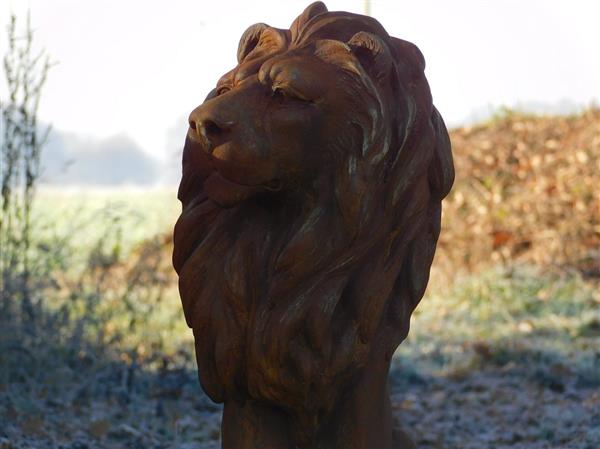 Grote foto zittende leeuw polystone rechts kijken oxid tuin en terras tuindecoratie