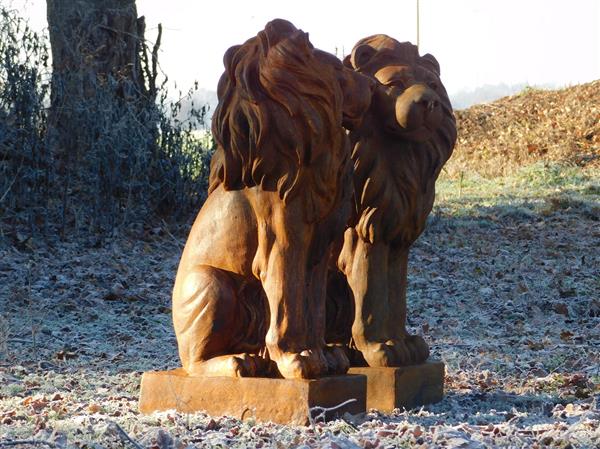 Grote foto zittende leeuw polystone rechts kijken oxid tuin en terras tuindecoratie