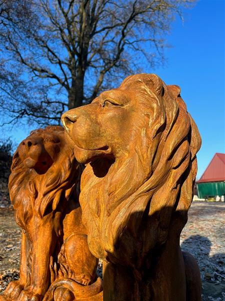 Grote foto zittende leeuw polystone rechts kijken oxid tuin en terras tuindecoratie