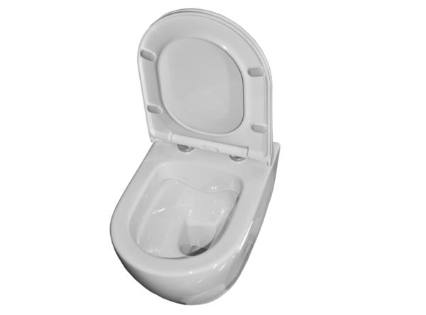 Grote foto sanicare rondo rimfree wandcloset incl. rondo slim ultra dun toiletzitting doe het zelf en verbouw sanitair