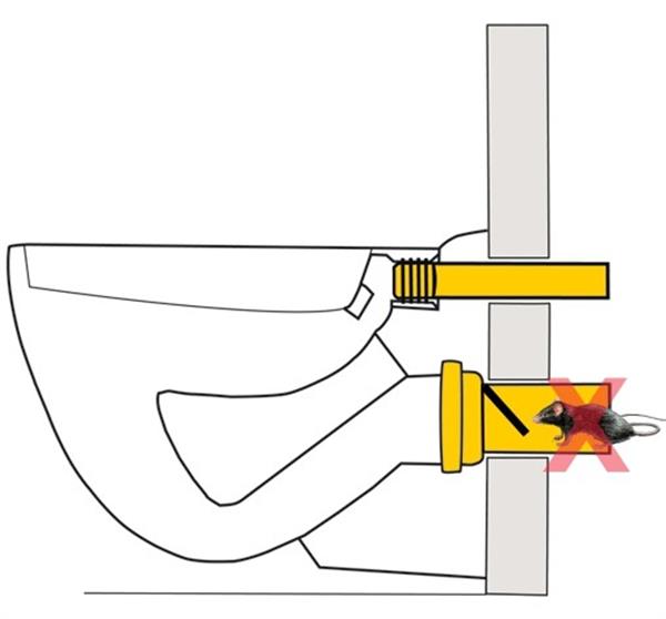 Grote foto rattenstop afvoer dn 110 doe het zelf en verbouw materialen en producten