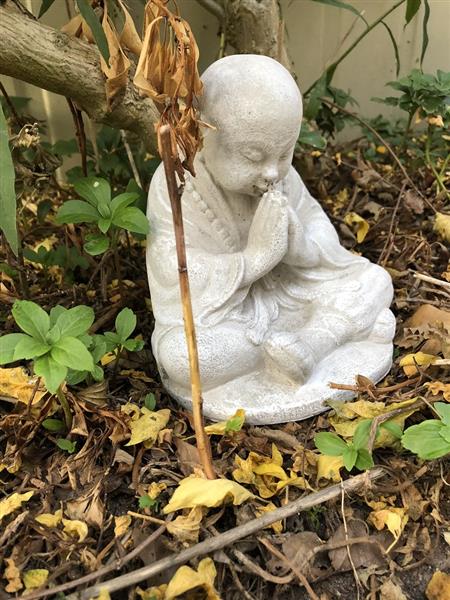 Grote foto shaolin monnik zittend biddend vol steen tuin en terras tuindecoratie