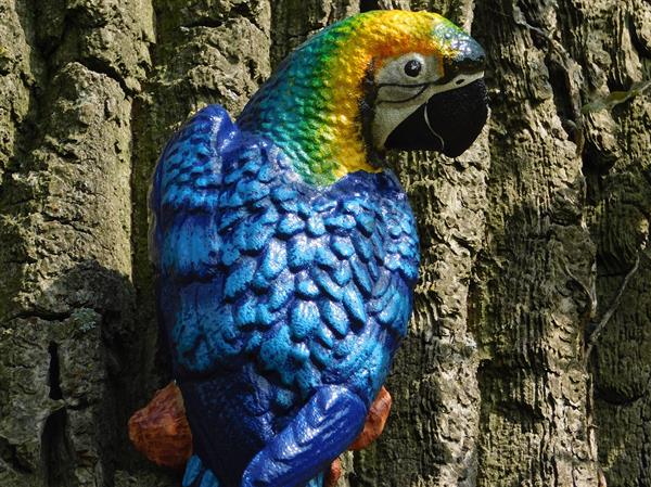 Grote foto blauwe papegaai gietijzer wanddecoratie tuin en terras tuindecoratie