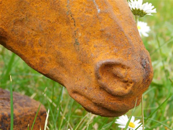 Grote foto paardenhoofd gietijzer in roest optica tuin en terras tuindecoratie