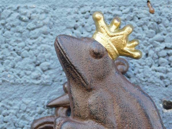 Grote foto tuinslanghouder kikker prins met gouden kroon gietijzer tuin en terras tuindecoratie