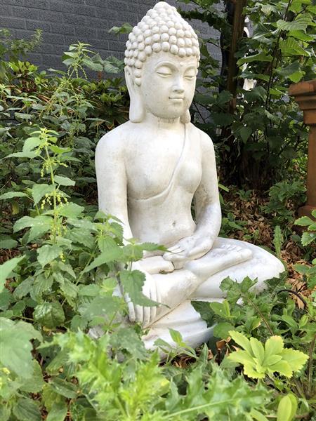 Grote foto mediterende boeddha vol steen. tuin en terras tuindecoratie