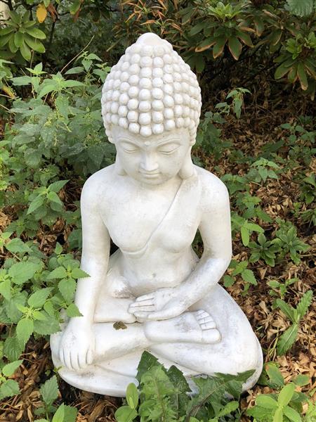 Grote foto mediterende boeddha vol steen. tuin en terras tuindecoratie