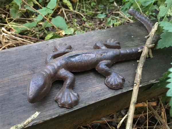 Grote foto leuke salamander van gietijzer huis en inrichting woningdecoratie