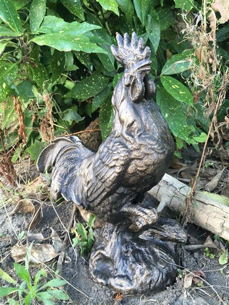 Grote foto sculptuur haan metaal bronskleur tuin en terras tuindecoratie