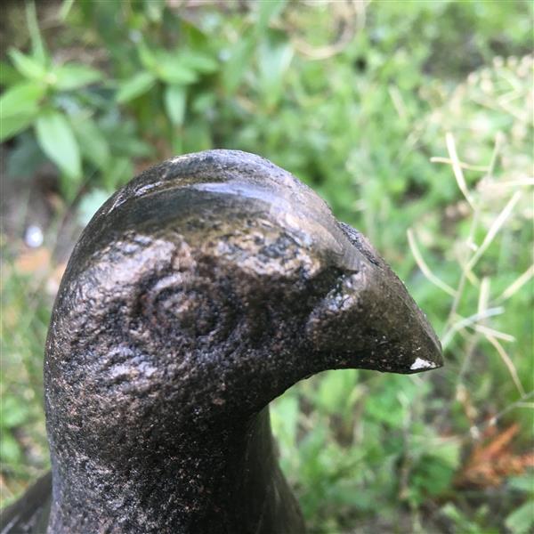 Grote foto duif vol bronskleur metaal prachtig beeldje tuin en terras tuindecoratie