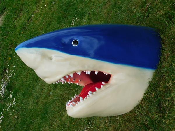 Grote foto grote haaienkop met opengesperde bek. tuin en terras tuindecoratie
