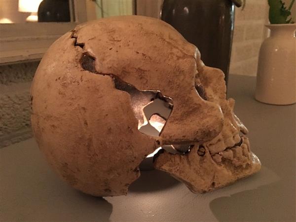Grote foto 1 grote anatomische schedel uit gietijzer white rust huis en inrichting woningdecoratie