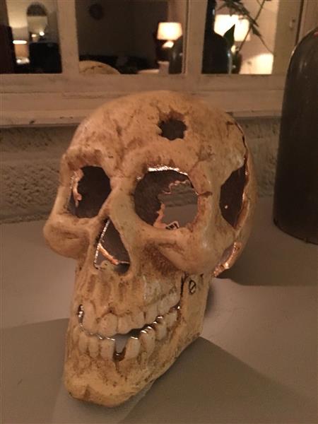 Grote foto 1 grote anatomische schedel uit gietijzer white rust huis en inrichting woningdecoratie