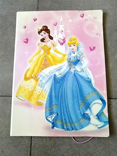 Grote foto vintage grote map met disney prinsessen verzamelen disney