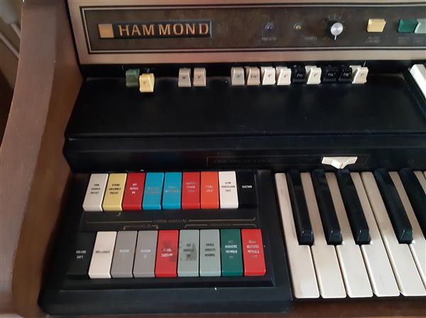 Grote foto hammondorgel muziek en instrumenten orgels